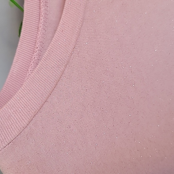 Current Elliott Glittery Scoop Neck Tee Shirt - Picture 3 of 6